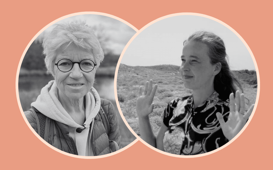 Yoga en Qigong Harderwijk